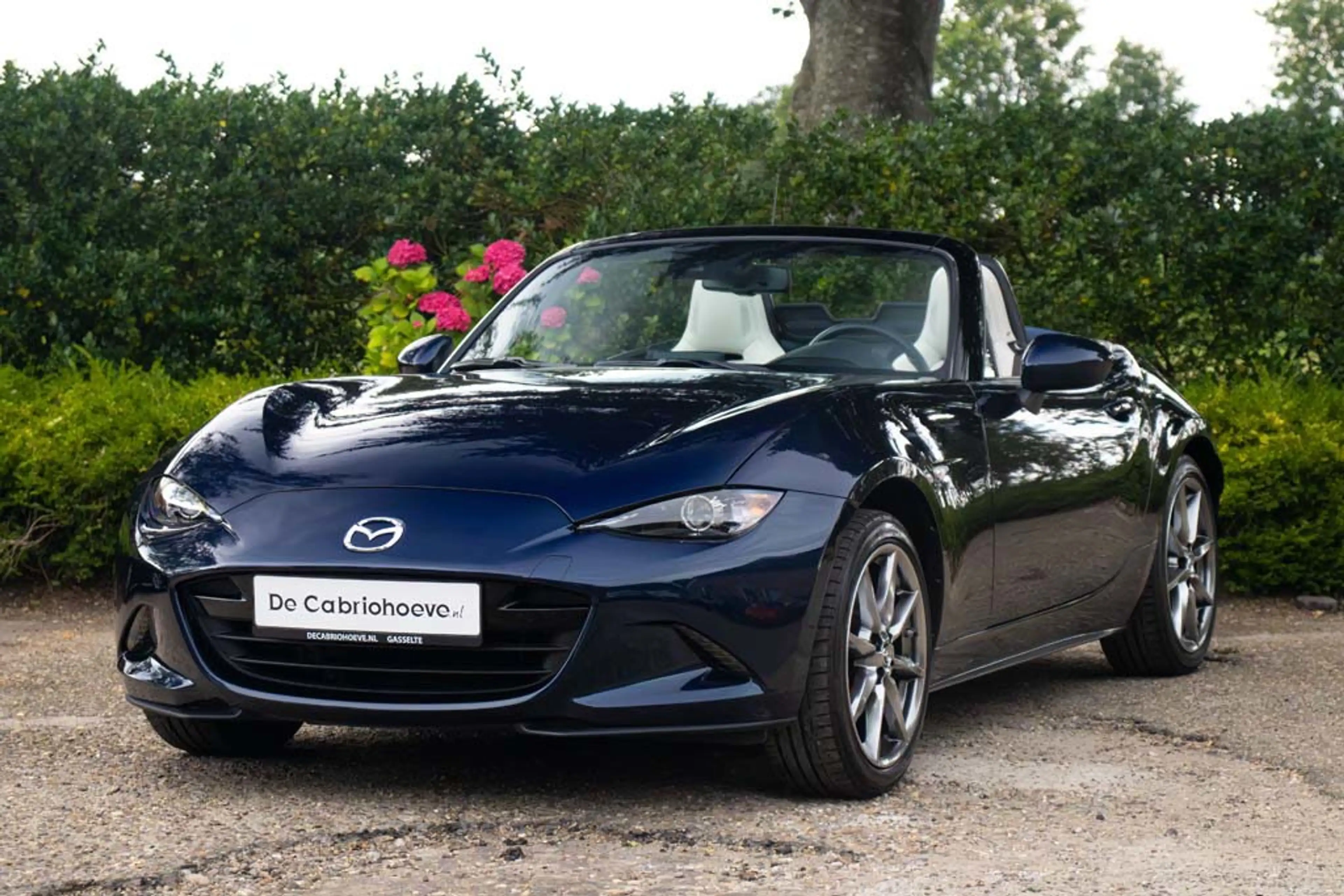 Mazda MX-5 NDRF 2.0l SkyActiv-G 184 GT-M Deep Crystal Blue Mi — photo 2