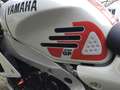 Yamaha XSR 900 Vollverkleidung, Garantie bis 05-2028, Rouge - thumbnail 18