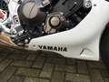 Yamaha XSR 900 Vollverkleidung, Garantie bis 05-2028, Rouge - thumbnail 22
