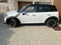 MINI Cooper S Countryman Mini Countryman R60 1.6 all4 Bianco - thumbnail 5