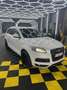 Audi Q7 3.0 tdi quattro 204cv tiptronic bijela - thumbnail 1