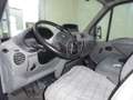 Renault Master Wit - thumbnail 7