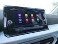 SEAT Arona Style 1.0 TSI DSG Rot - thumbnail 11