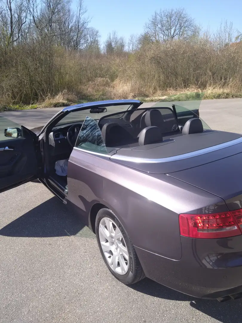Audi A5 A5 Cabrio 1.8 TFSI Violett - 1