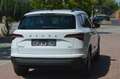 Skoda Karoq 2,0 TDI 4x4 DSG+NAVI+AHK+LED+ Weiß - thumbnail 5