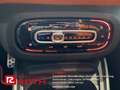 smart forTwo smart fortwo cabrio 90 PS Navi R-Kamera Sitzhzg. Schwarz - thumbnail 14