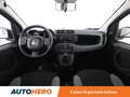 Fiat Panda 1.0 Mild-Hybrid MHEV Grigio - thumbnail 12