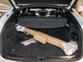 Audi Q5 Sportback S line 55 TFSI e quattro S tronic Weiß - thumbnail 9