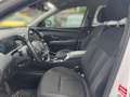 Hyundai TUCSON 1.6 CRDi 48V-Hybrid 2WD DCT Select White - thumbnail 10