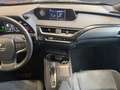 Lexus UX 300e Basis +LED+CarPlay+Eletkrische Sitze+ Schwarz - thumbnail 12