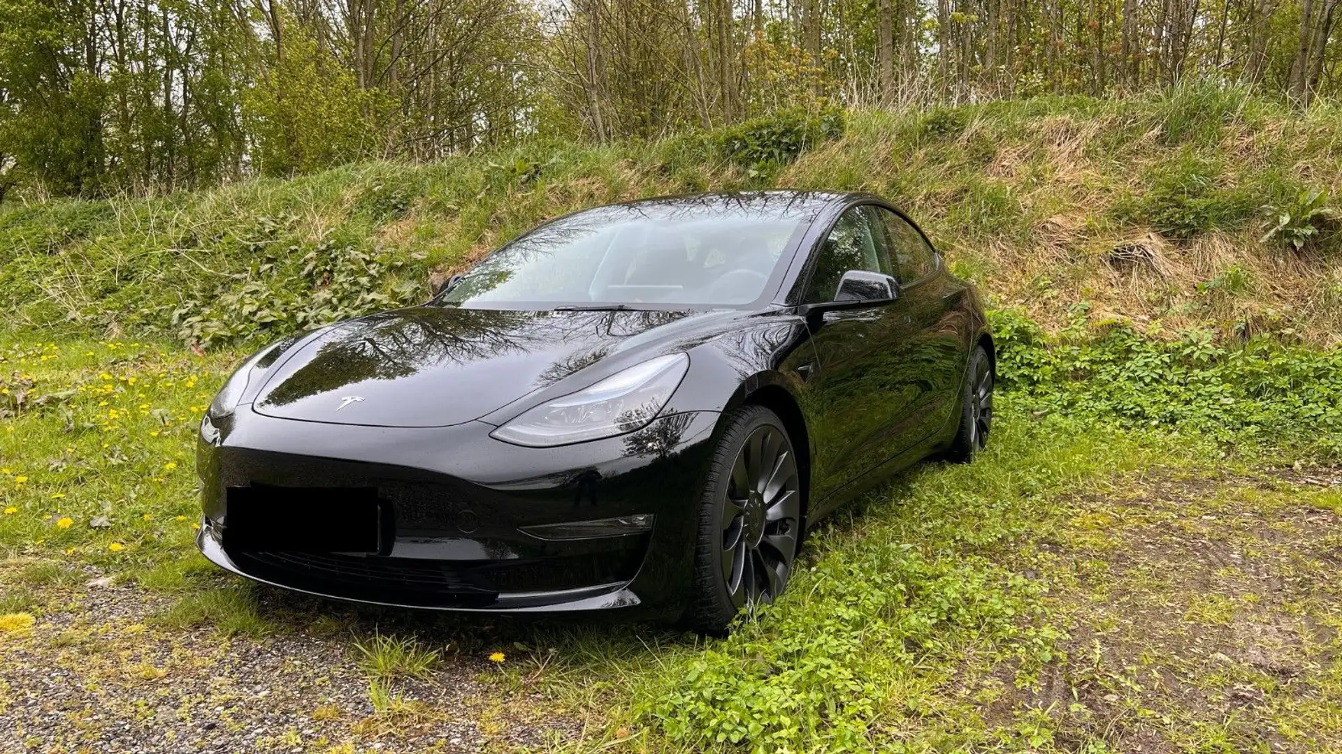 Tesla Model 3 Performance Dual AWD Noir - 1