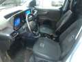 Ford Transit Courier 1.5 DIESEL SERIE ACTIVE GARANTIE 150000 SHOW ROOM Gris - thumbnail 12