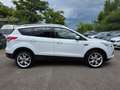 Ford Kuga 2.0 TDCI 4X4 AWD Automatik Titanium Xenon Leder El Weiß - thumbnail 7