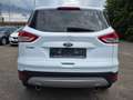 Ford Kuga 2.0 TDCI 4X4 AWD Automatik Titanium Xenon Leder El Weiß - thumbnail 4