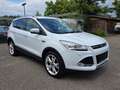 Ford Kuga 2.0 TDCI 4X4 AWD Automatik Titanium Xenon Leder El Weiß - thumbnail 3