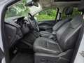 Ford Kuga 2.0 TDCI 4X4 AWD Automatik Titanium Xenon Leder El Weiß - thumbnail 10