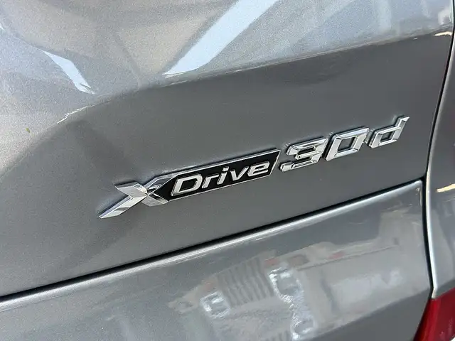 BMW X5 xDrive30d M-Paket Aut. / Iconic Glow / Sportsit... Ansicht 10