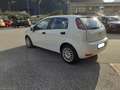 Fiat Punto 1.3 MJT 75CV 5p.Van Pop 4 p. E5+ AUTOCARRO 4 POSTI Bianco - thumbnail 3