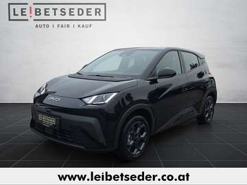 Surf 43,2 kWh Boost Österreich Paket