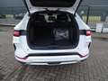 BYD Seal U DM-i PHEV Boost Blanc - thumbnail 18