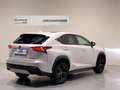 Lexus NX 300 300h Sport Edition 2WD - thumbnail 3