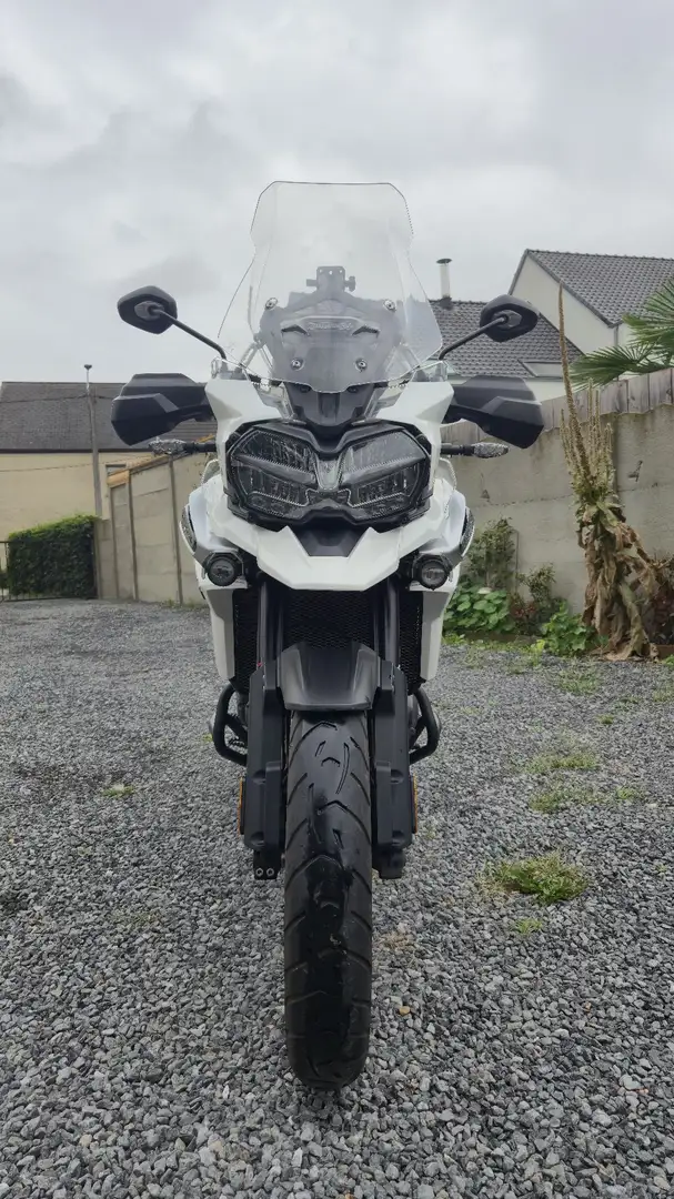 Triumph Tiger 1200 Xrt Blanc - 2