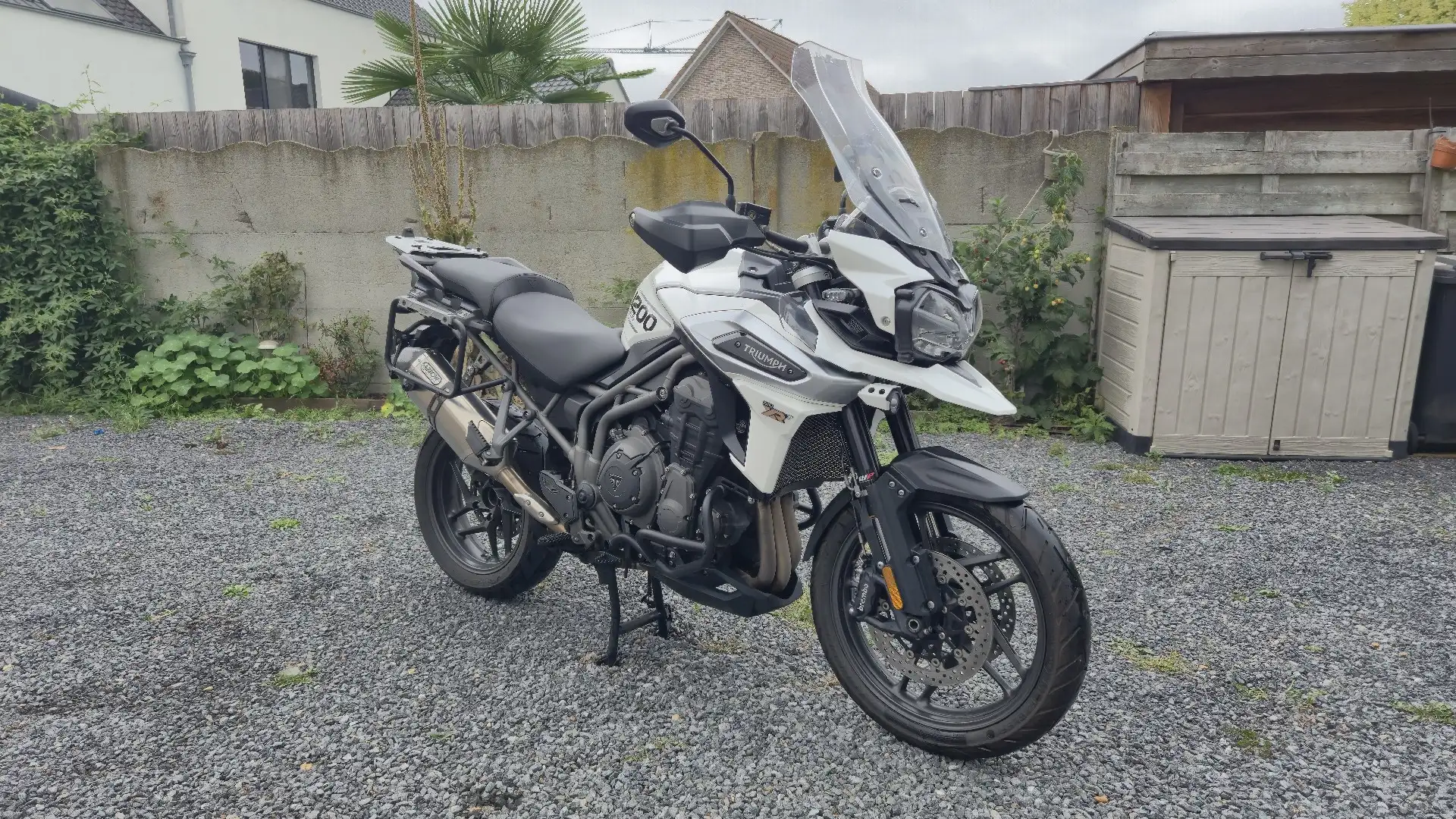 Triumph Tiger 1200 Xrt Blanc - 1