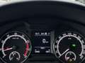 Skoda Octavia Combi 1.5 TSI Greentech Business Edition Automaat Grijs - thumbnail 22