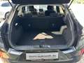 Ford Puma 1.0 Titanium *Navi*AHK*Winterp.*ACC*PDC+Kam. Grau - thumbnail 13