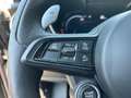 Alfa Romeo Stelvio diesel 210 cv veloce Gris - thumbnail 18