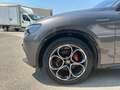 Alfa Romeo Stelvio diesel 210 cv veloce Gris - thumbnail 37