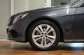 Mercedes-Benz E 250 BlueTEC 4MATIC|AMG|LED|H&K|PARK Grau - thumbnail 2