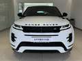 Land Rover Range Rover Evoque D180 R-Dyn. SE BlackPack HUD Weiß - thumbnail 8