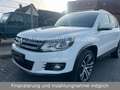 Volkswagen Tiguan Exclusive 4Motion*Navi*Xenon*Leder*CAM*19 Weiß - thumbnail 8