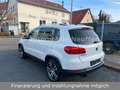 Volkswagen Tiguan Exclusive 4Motion*Navi*Xenon*Leder*CAM*19 Weiß - thumbnail 2