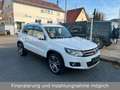 Volkswagen Tiguan Exclusive 4Motion*Navi*Xenon*Leder*CAM*19 Weiß - thumbnail 3