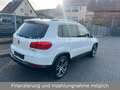 Volkswagen Tiguan Exclusive 4Motion*Navi*Xenon*Leder*CAM*19 Weiß - thumbnail 4