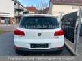 Volkswagen Tiguan Exclusive 4Motion*Navi*Xenon*Leder*CAM*19 Weiß - thumbnail 6