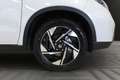 Suzuki Vitara Vitara 1.4 Hybrid 4WD AllGrip Top Bianco - thumbnail 5