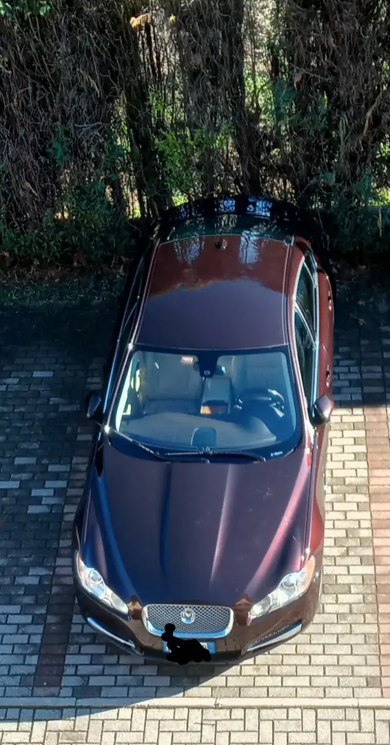 Jaguar XF 3.0d V6 Luxury auto Kahverengi - 1