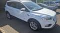 Ford Kuga Titanium 4x4 Weiß - thumbnail 5
