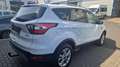 Ford Kuga Titanium 4x4 Weiß - thumbnail 4