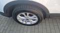 Ford Kuga Titanium 4x4 Weiß - thumbnail 15