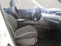 BAIC Senova X55 X35/PARTNER/MERCEDES/Mitsubishi Motoren Blanc - thumbnail 21