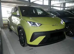 BYD Dolphin Surf 65 kW Boost