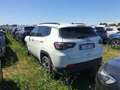 Jeep Compass Compass 1.6 Multijet II 2WD Limited Bianco - thumbnail 7