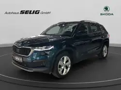 Skoda Kodiaq 2.0 TSI 190 PS DSG Tour 4x4,AHK,Vir.Cock,