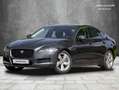 Jaguar XF 20d AWD Aut. Prestige Grau - thumbnail 1