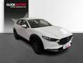 Mazda CX-30 2.0 e-Skyactiv G 122CV MHEV PrimeLine Blanco - thumbnail 3