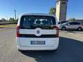 Fiat Qubo 1.4 8V 77 CV Dynamic Bianco - thumbnail 5